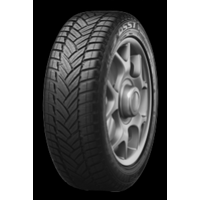 Dunlop Winter Sport M3 295/40 R20 110V