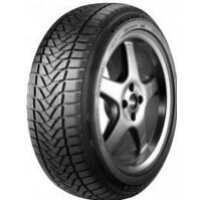 Firestone Winterhawk 175/65 R13 80T