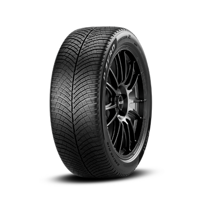 Pirelli P ZERO WINTER 2 315/40 R21 115V