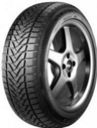 Firestone Winterhawk 165/70 R13 79T